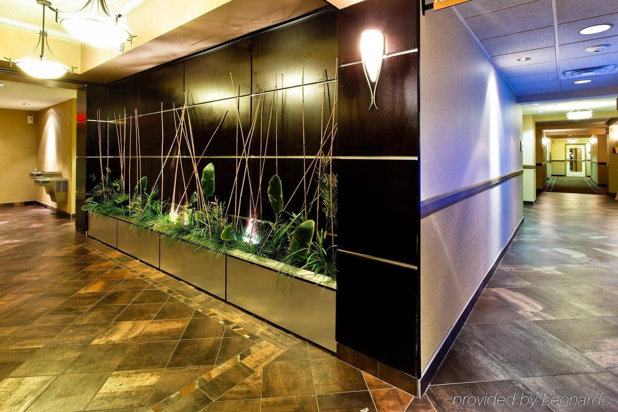 Holiday Inn Express Hotel & Suites Dallas South - Desoto By Ihg Exterior foto